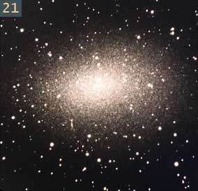 21 star cluster