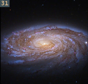 31 spiral galaxy