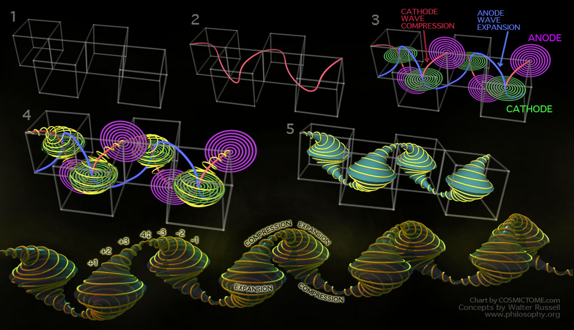 WAVEFORM-EVOLUTION